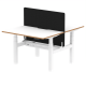 Rayleigh Air 2 Person Back-to-Back Height Adjustable Bench Desk